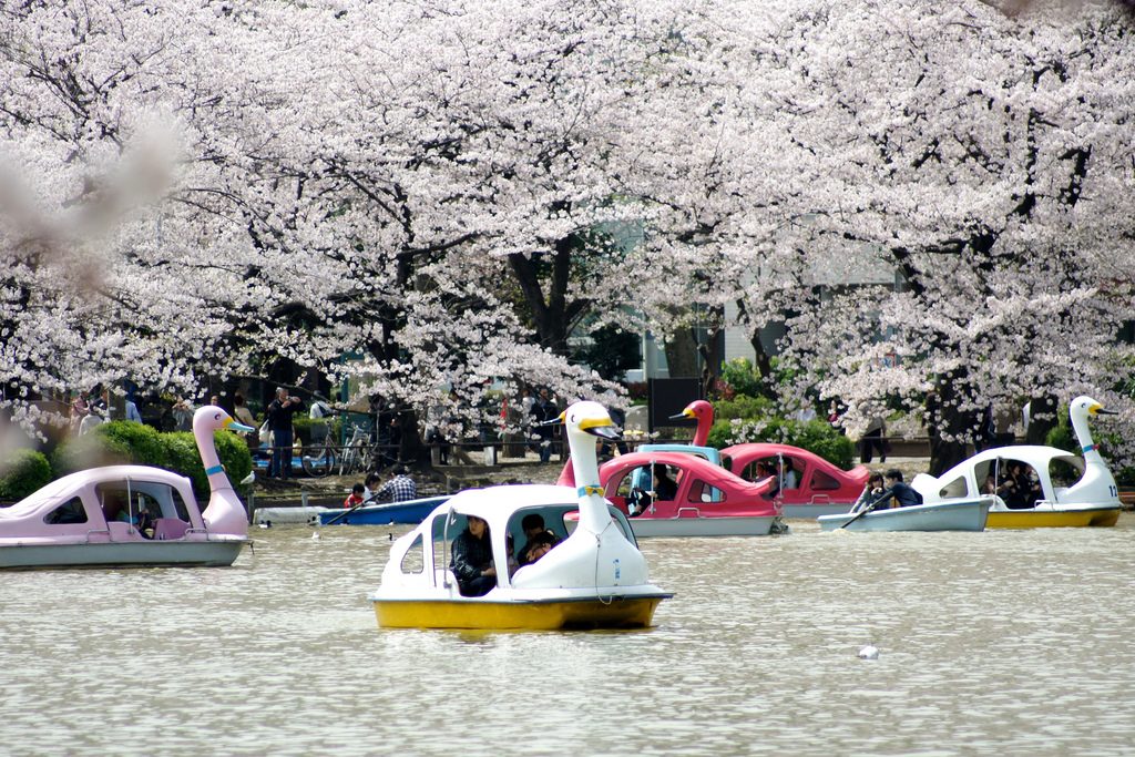 festivals in Asia