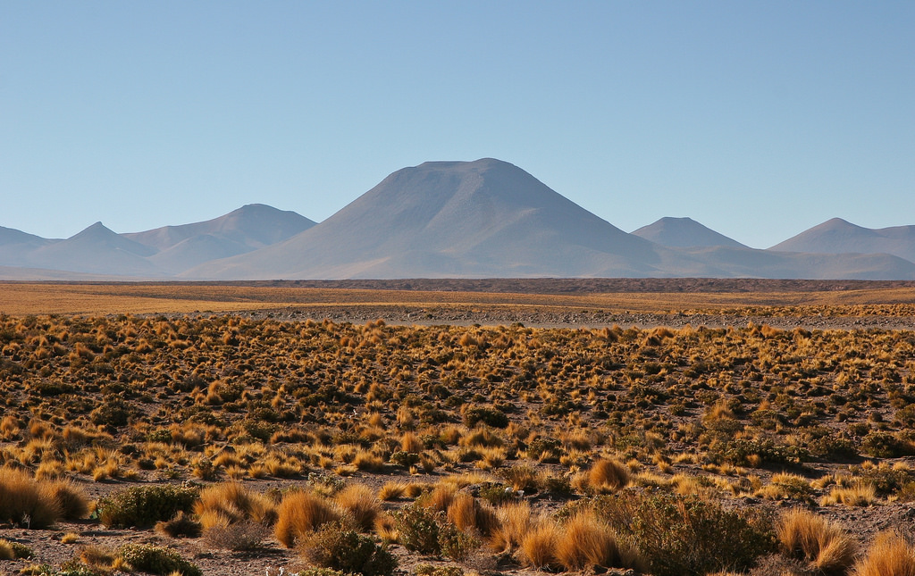 teaching English in Chile