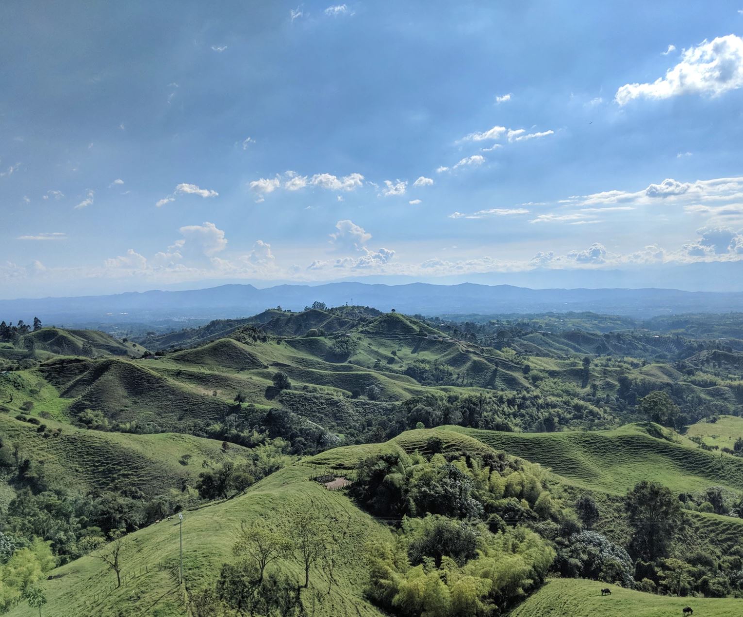 The verdant landscapes of Colombia | Michael Barón/Unsplash