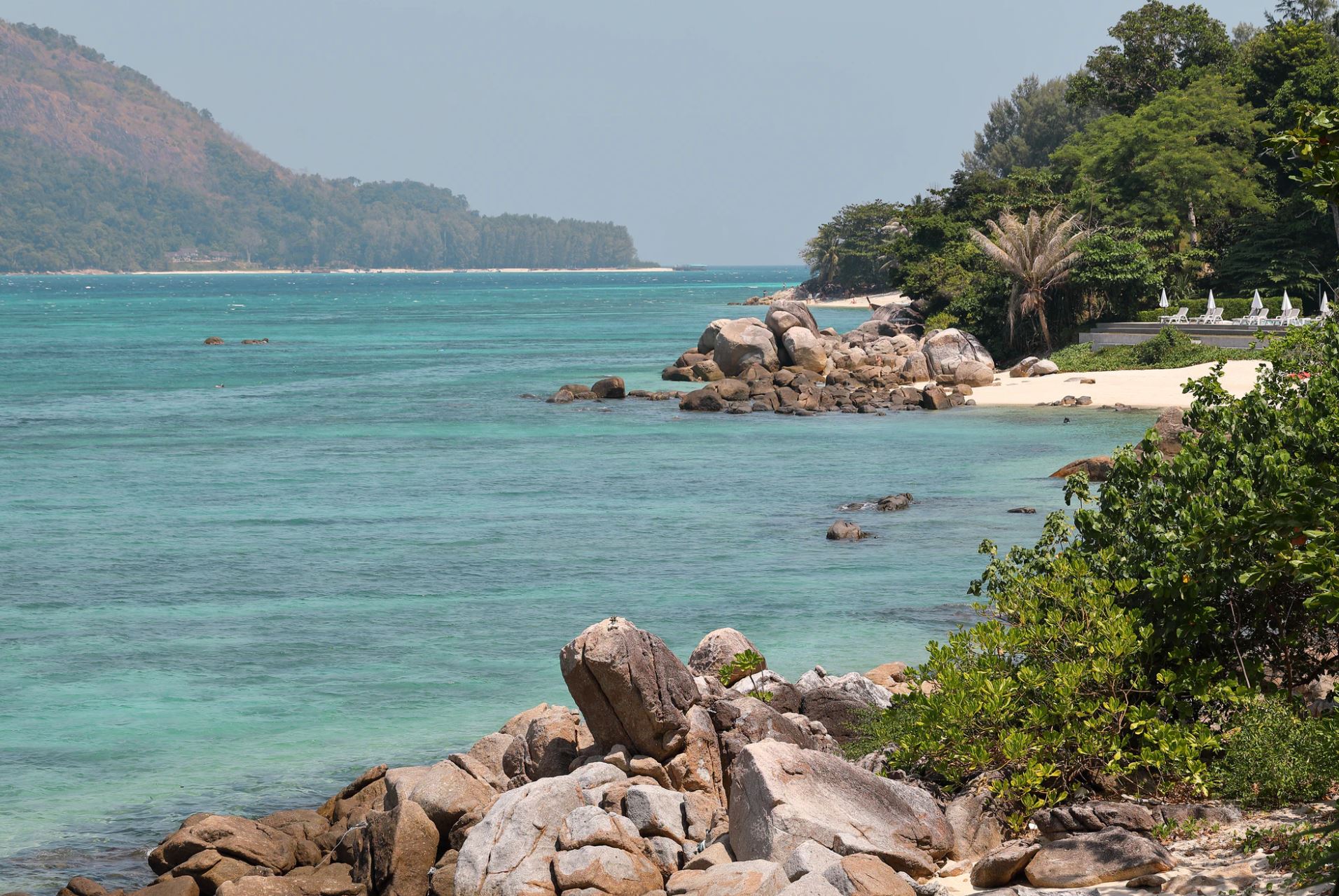 Trees by the water in Koh Lipe | Maksim Shutov/Unsplash