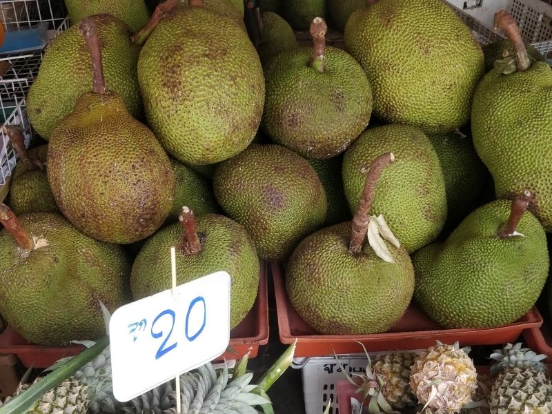 Durian fruit