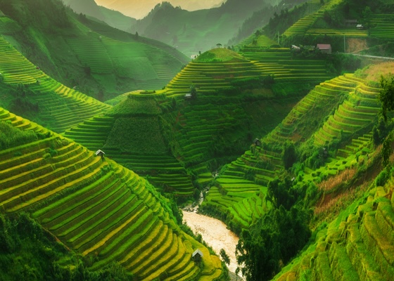 jobs_vietnam