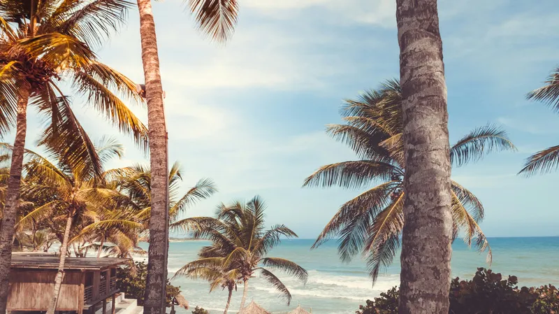 Teaching in Venezuela